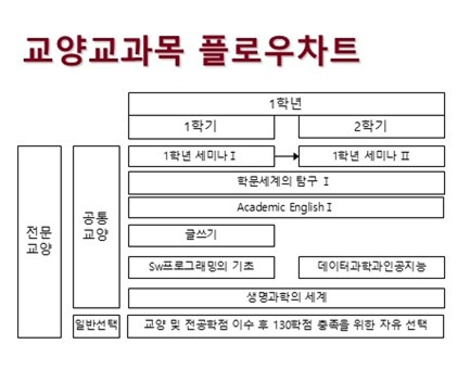 교양 교과목 플로우차트